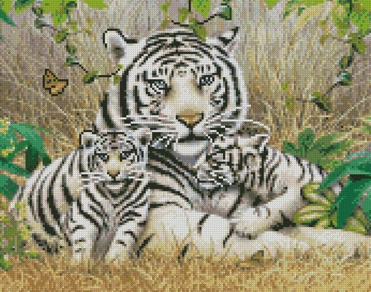 Алмазная вышивка «Белые тигры»