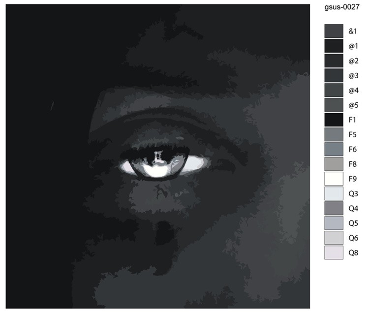 Картина по номерам «Рок и рэп музыкант Джизус: альбом чб» — картинка 2