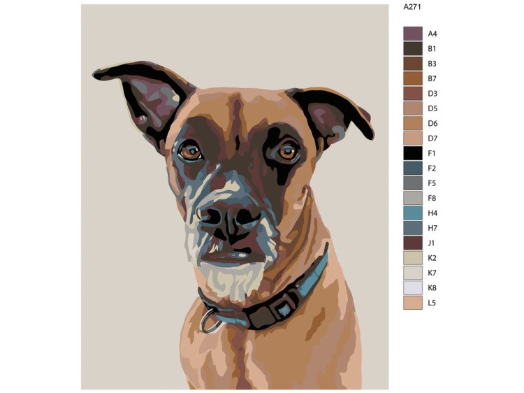 Картина по номерам «Рокки» — картинка 2