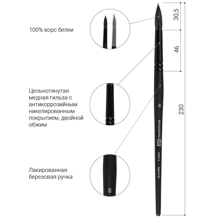 Кисть художественная профессиональная Art Classic, белка, круглая, № 8, короткая ручка, Brauberg — картинка 4