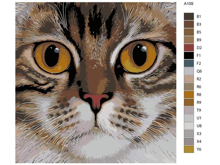 Картина по номерам «Медовые глаза» — картинка 2