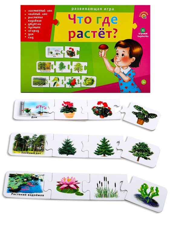 Ассоциации цепочкой «Что где растет» — картинка 2