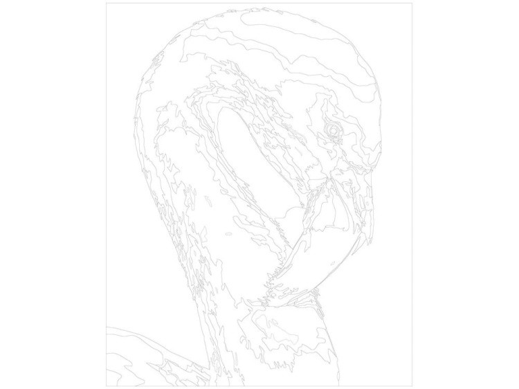 Картина по номерам «Фламинго» — картинка 3