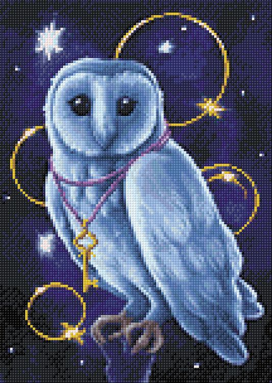 Алмазная вышивка «Хранитель тайн» — картинка 2