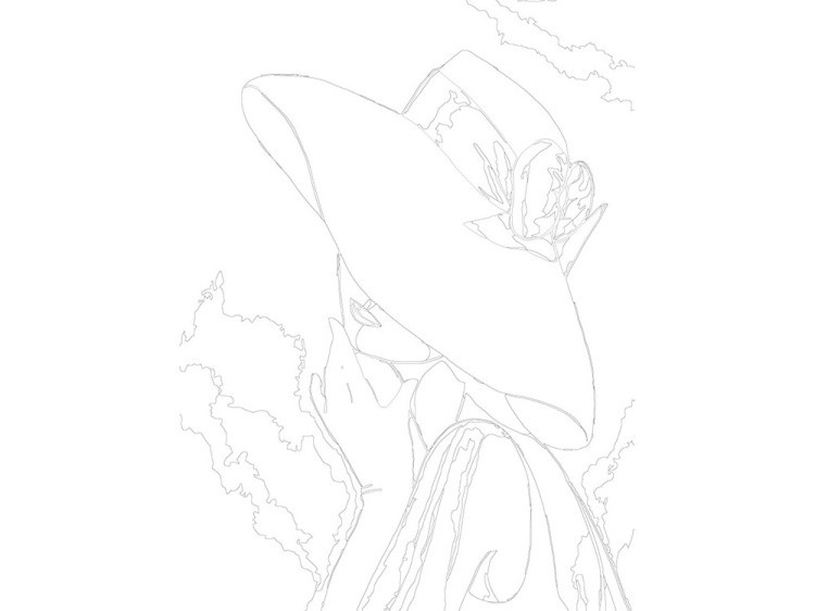 Картина по номерам «Кокетливая шляпка» — картинка 3