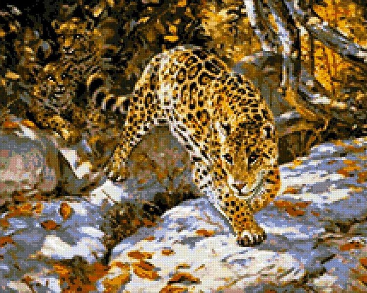 Алмазная вышивка «Леопарды»
