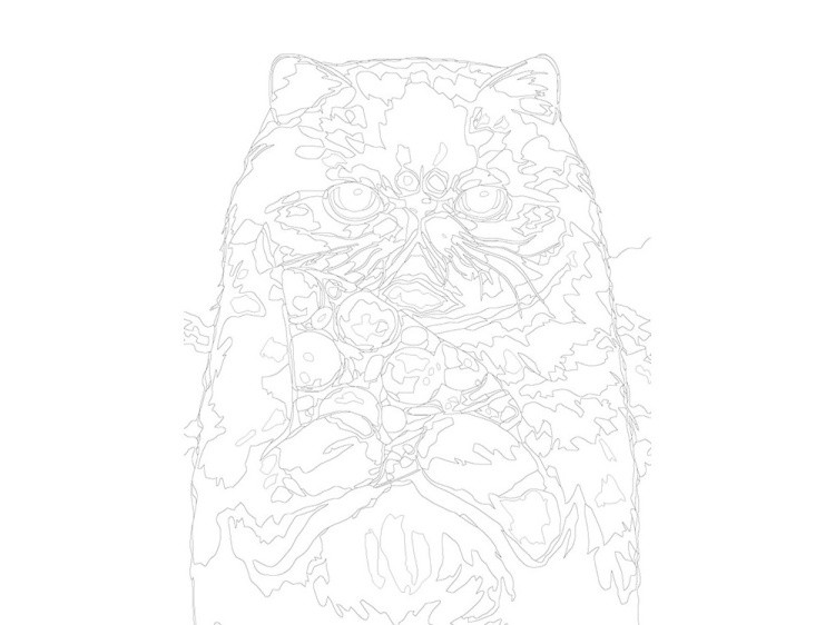 Картина по номерам «Любитель пиццы» — картинка 3