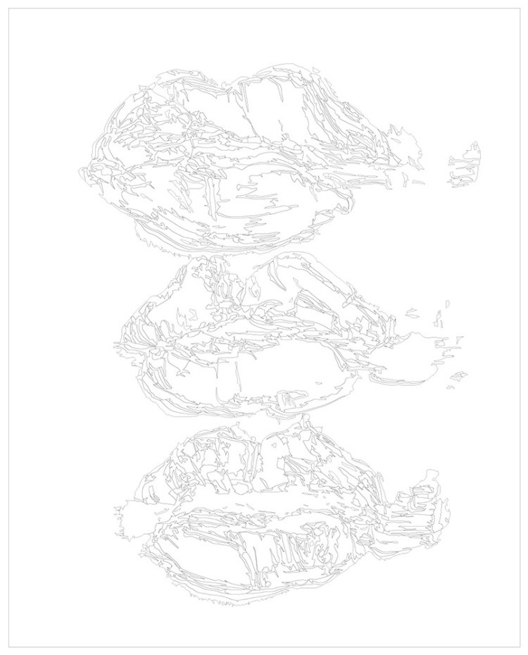 Картина по номерам Женские губы минимализм арт — картинка 3