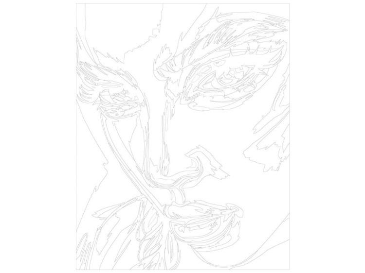 Картина по номерам «Пронзительный взгляд» — картинка 3