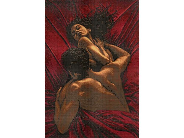 Алмазная вышивка «Сила страсти» — картинка 3