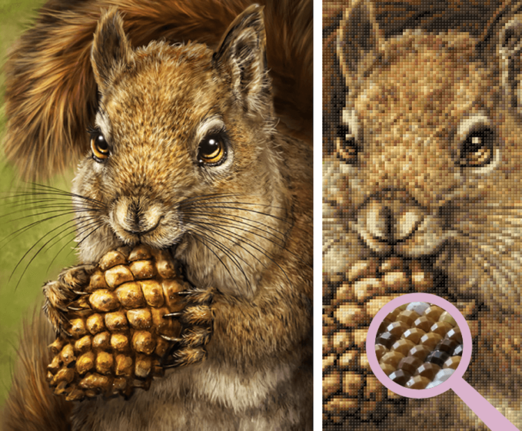 Алмазная вышивка «Белочка с шишкой» — картинка 3