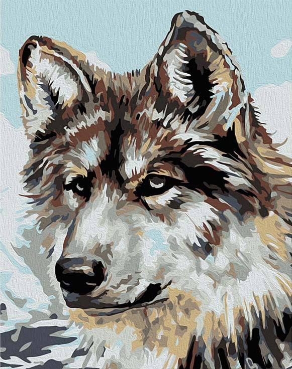 Картина по номерам «Серый волк» (мини-раскраска)
