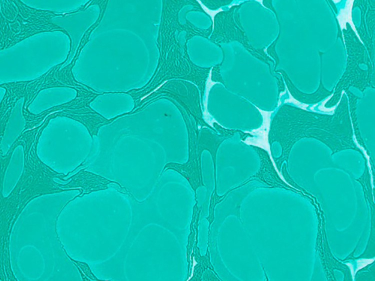 Краска для эбру зеленая 30 мл, Karin — картинка 4