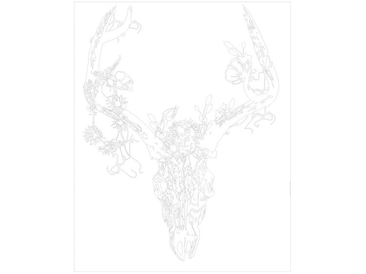 Картина по номерам «Чёрно-белый череп с цветами» — картинка 3