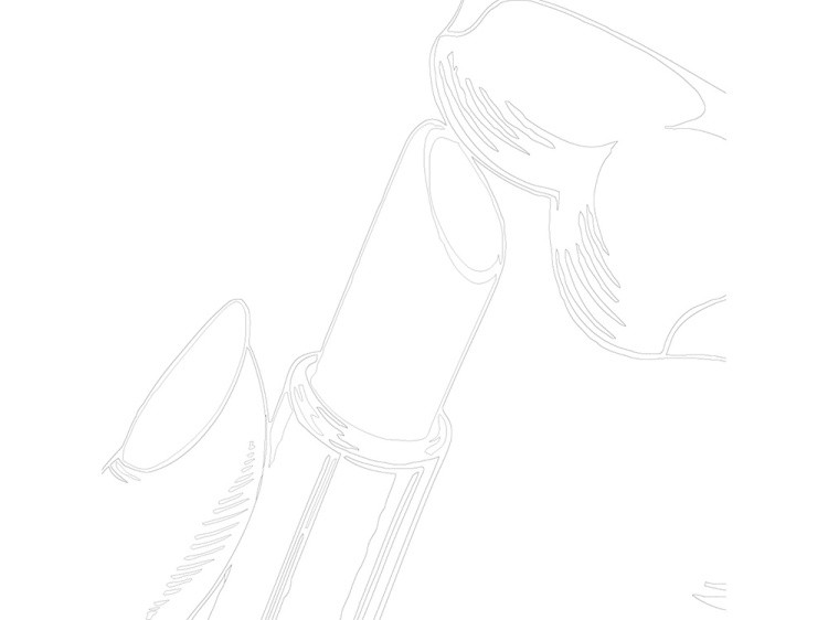 Картина по номерам «Губная помада» — картинка 3