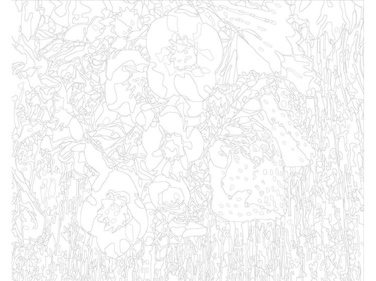 Картина по номерам «Цветки клубники» — картинка 3