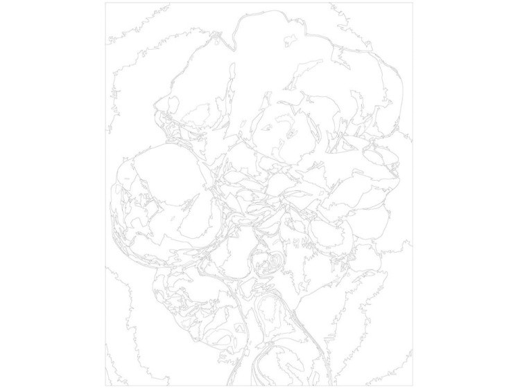 Картина по номерам «Цветочная голова» — картинка 3