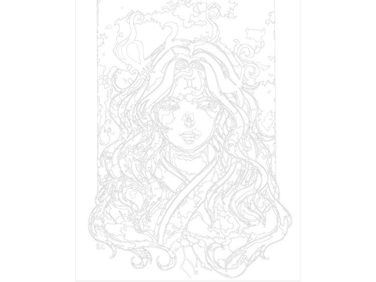 Картина по номерам «Знак близнецов» — картинка 3