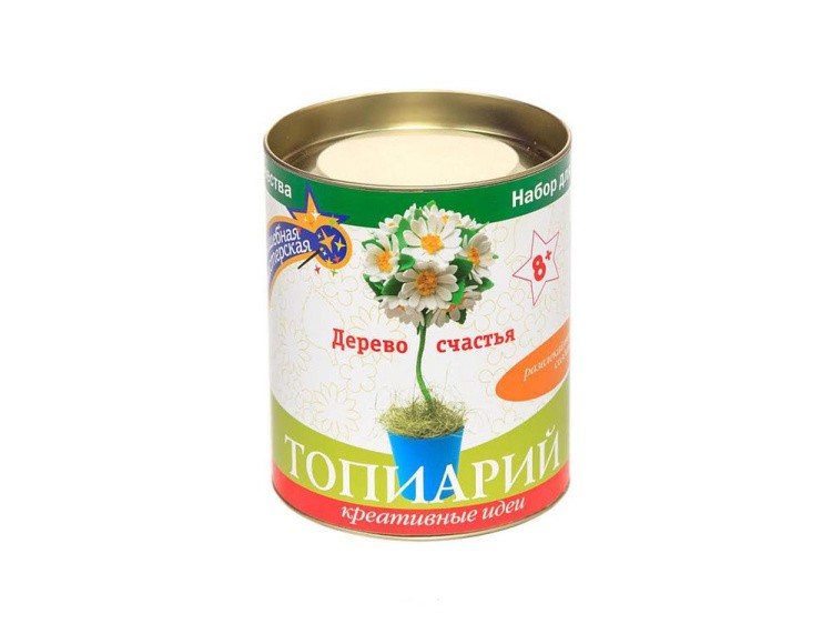 Набор для создания топиария «Ромашки» — картинка 3