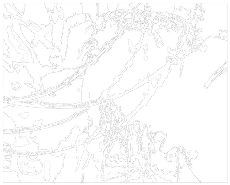 Картина по номерам «Рок и рэп андеграунд музыкант Кишлак 15» — картинка 3