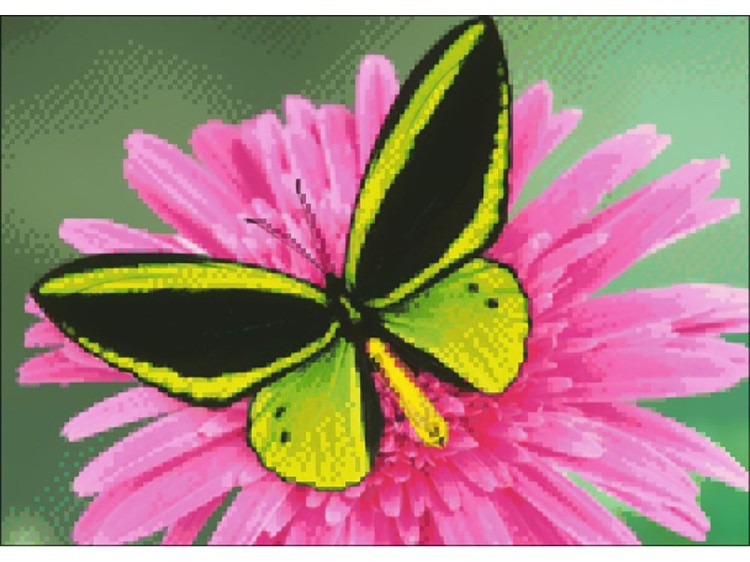 Алмазная вышивка «Бабочка» — картинка 2