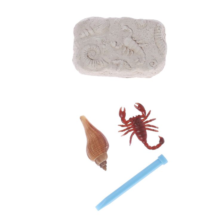 Набор для творчества «Раскопки. Богатство океана», Поделкин — картинка 2