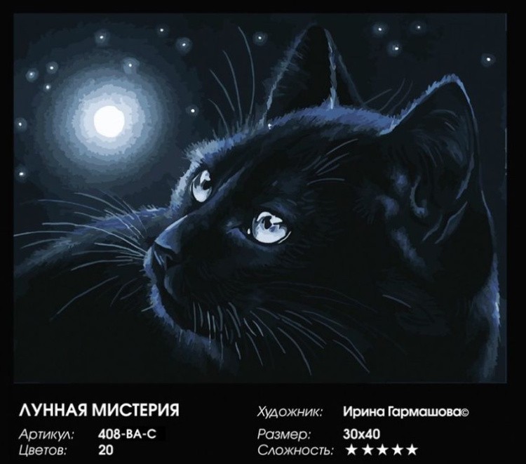 Картина по номерам «Лунная мистерия» — картинка 2