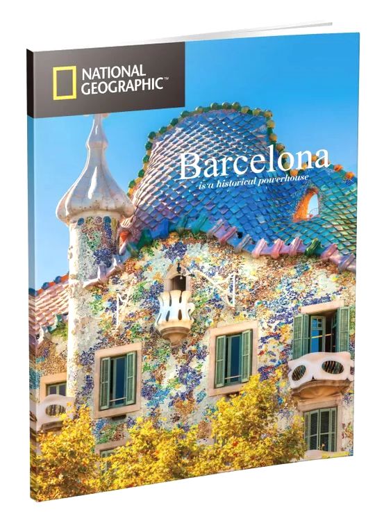 3D пазл CubicFun «National Geographic. Саграда Фамилия» — картинка 3