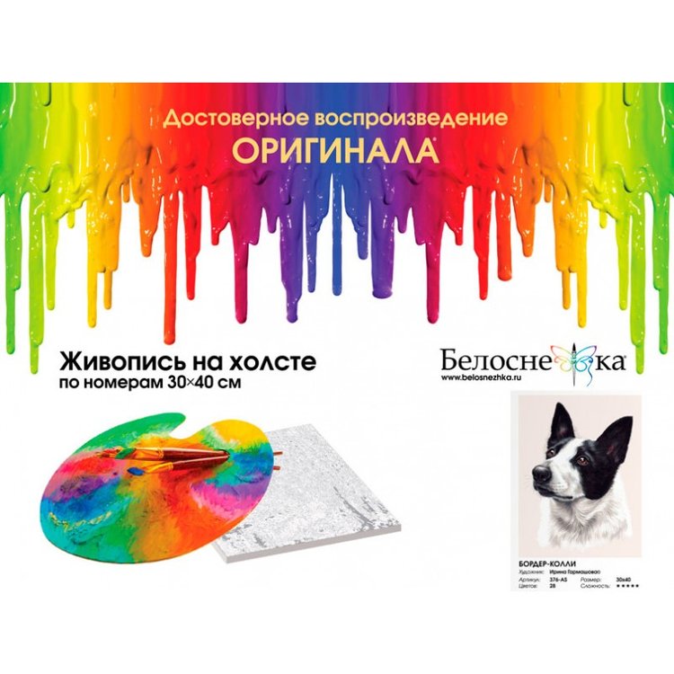Картина по номерам «Бордер-колли» — картинка 4