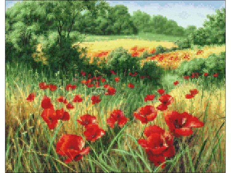 Алмазная вышивка «Маковое поле» — картинка 2