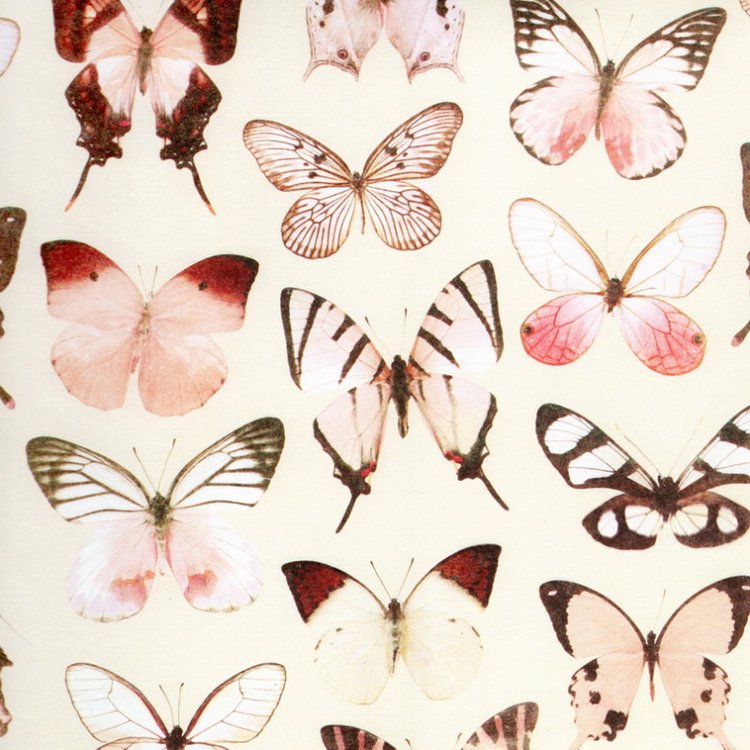 Набор бумаги «Нежное пралине» — картинка 13