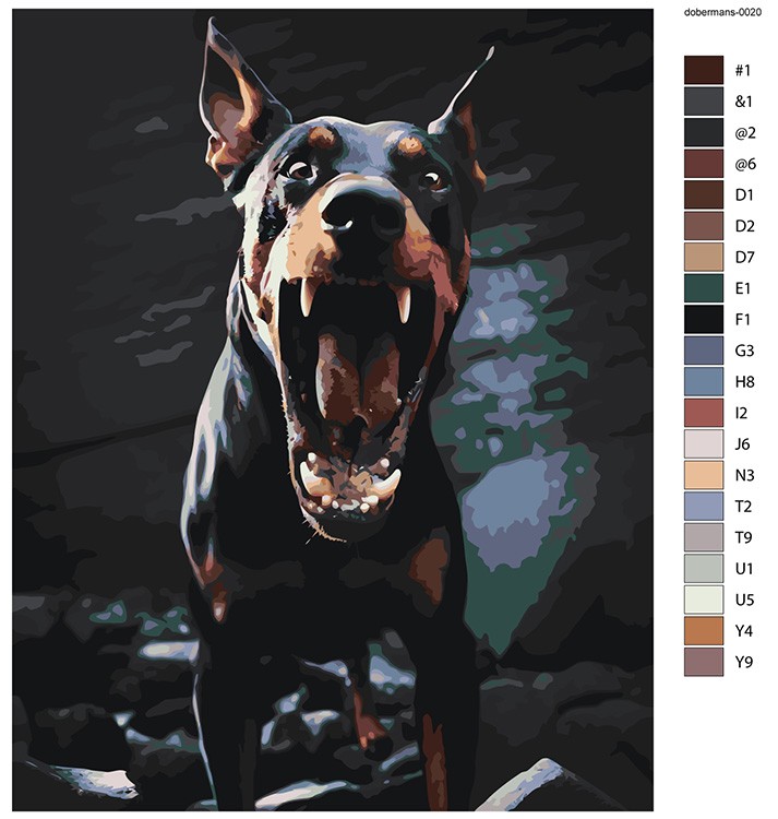 Картина по номерам «Собака доберман с открытой пастью 2» — картинка 2