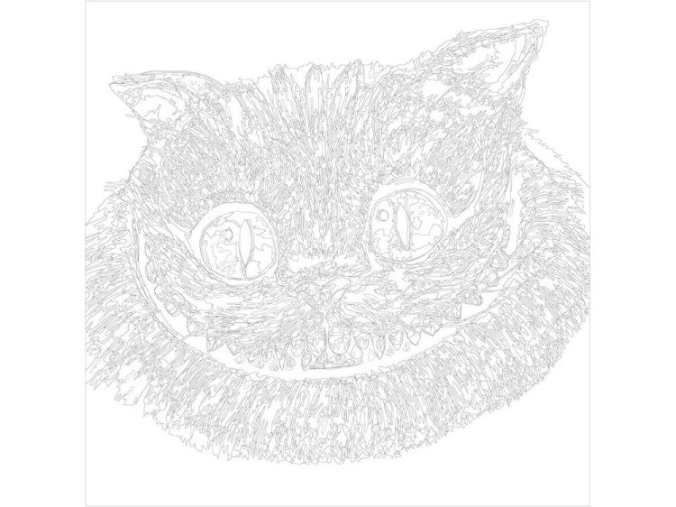 Картина по номерам «Чеширский кот» — картинка 3