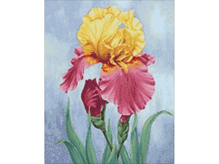 Алмазная вышивка «Цветущий ирис» — картинка 3