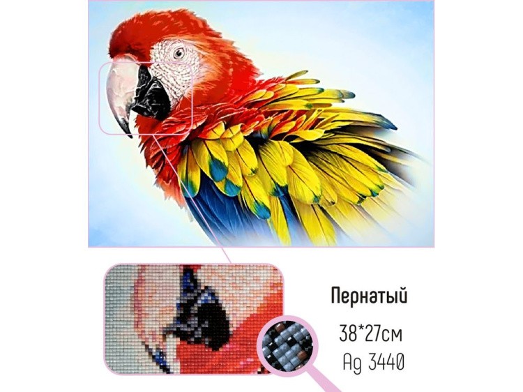 Алмазная вышивка «Пернатый» — картинка 3