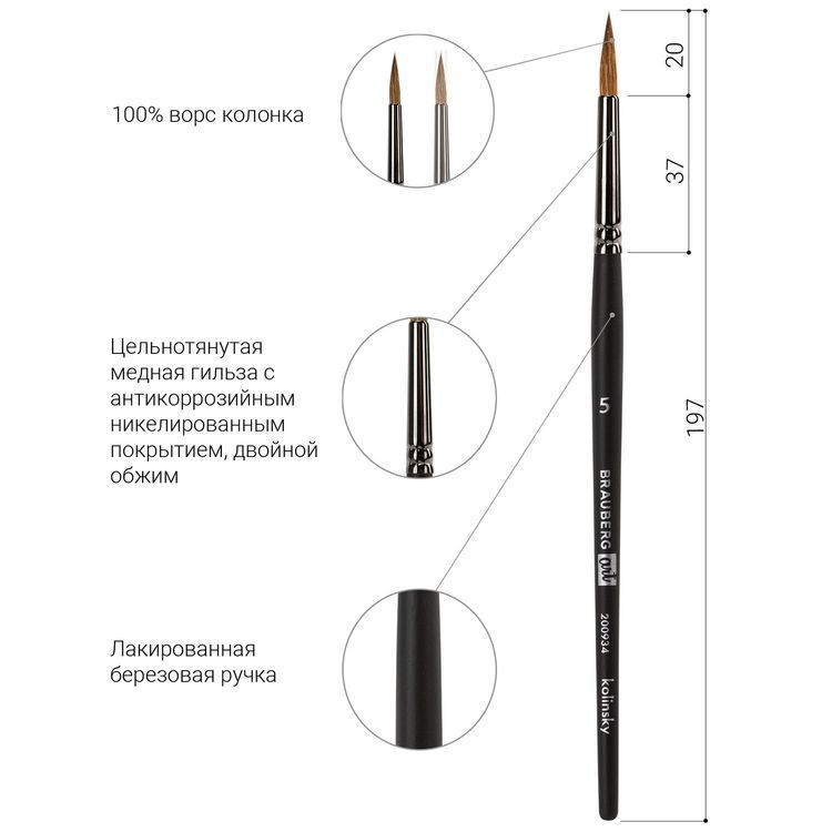 Кисть художественная профессиональная Art Classic, колонок, круглая, № 5, короткая ручка, Brauberg — картинка 4