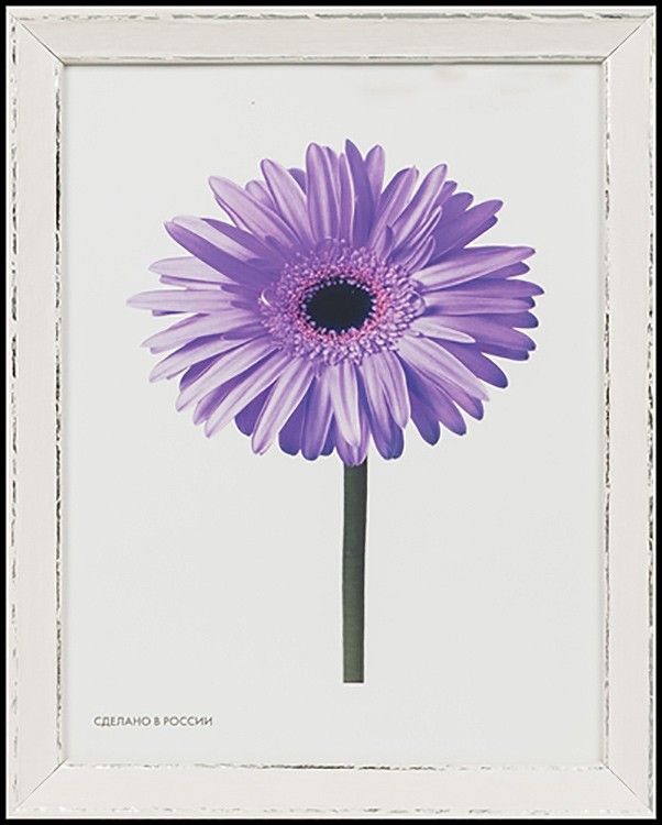 Рамка для картин «Viola», 40x50 см — картинка 4