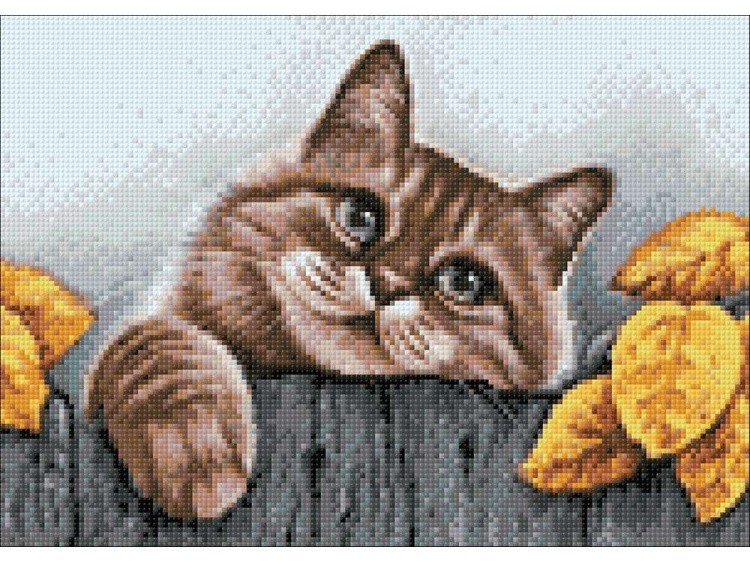 Алмазная вышивка «Деревенский кот» — картинка 2