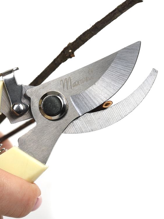 Секатор Maxwell изогнутое лезвие, 55/180 мм, ручки беж. пластик — картинка 9