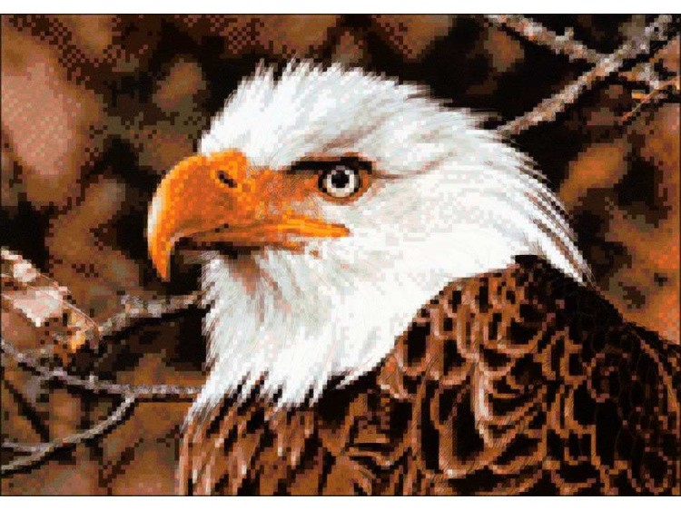 Алмазная вышивка «Орёл» — картинка 2