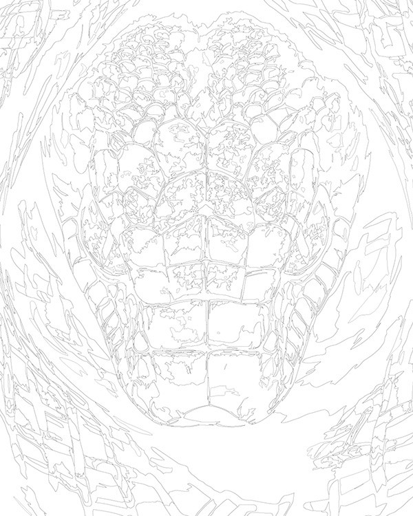 Картина по номерам «Зеленая змея, Символ года, животные» — картинка 3