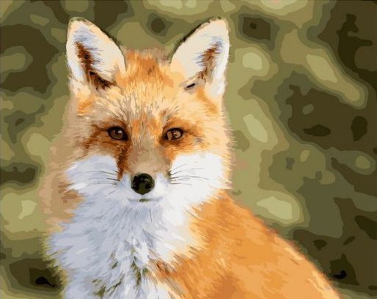 Картина по номерам «Молодой лис»