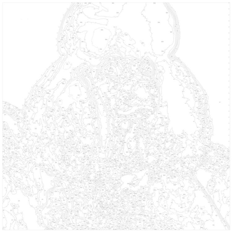 Картина по номерам «Пудель» — картинка 3