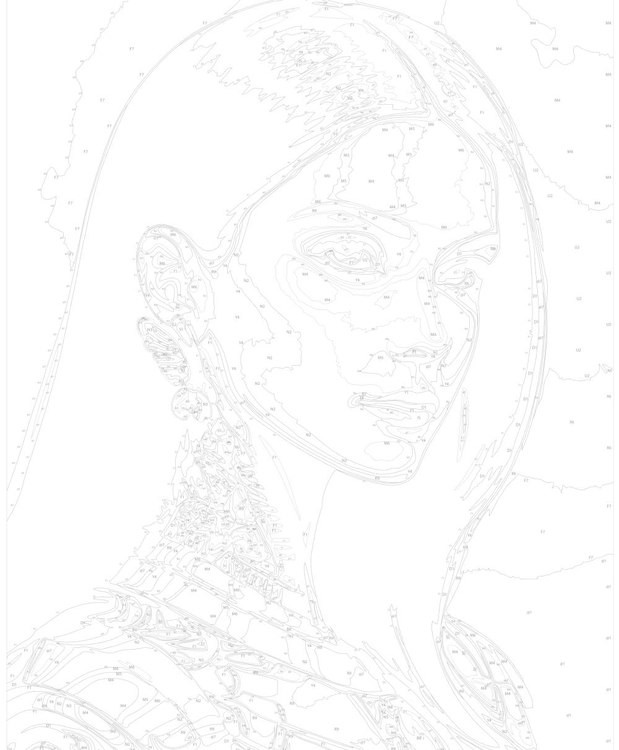 Картина по номерам «Девушка в доспехах» — картинка 3