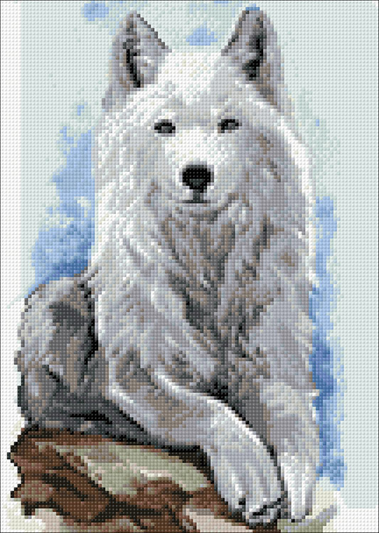 Алмазная вышивка «Серый странник» — картинка 2