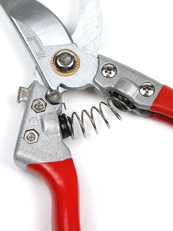 Секатор Maxwell изогнутое лезвие, 60/225 мм, ручки красный металл — картинка 10