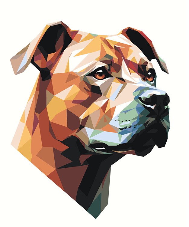 Картина по номерам «Собака Стаффорд (Стаффордширский терьер) арт 2»