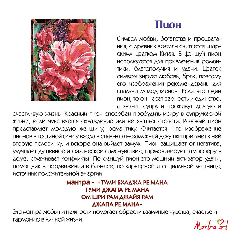 Картина по номерам «Пион» — картинка 4