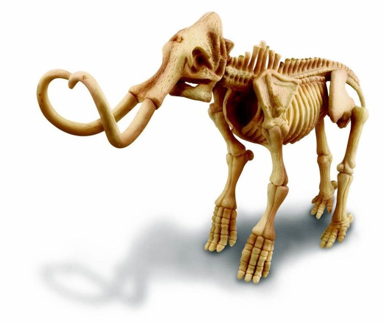 Набор юного археолога «Скелет Мамонта» — картинка 4