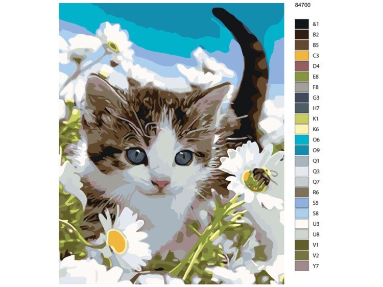 Картина по номерам «Котёнок среди ромашек» — картинка 2